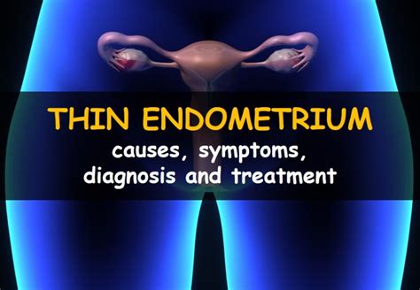 anteverted uterus with thin endometrium means